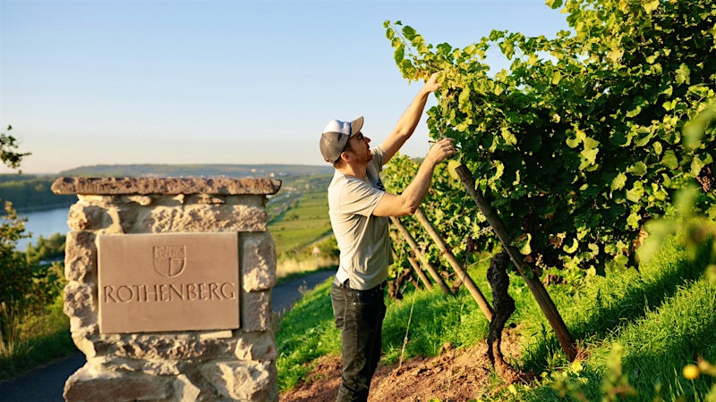 Alphabetical Guide to German Riesling