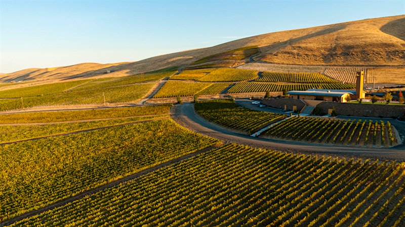 Italy’s Antinori Buys Out Its Partner at Washington’s Col Solare Winery