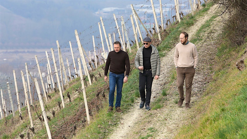 Barbaresco Winery Paitin Expands into Alto Piemonte