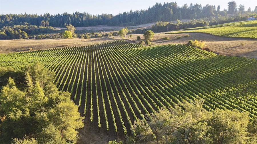 Aubert’s UV-SL vineyard in Sonoma, named to honor the late winemaker Ulises Valdez Sr. (UL) on his home estate at Stoetz Lane (SL), has succeeded in producing some of California’s most impressive Pinot Noirs, including this year’s 2022 release.