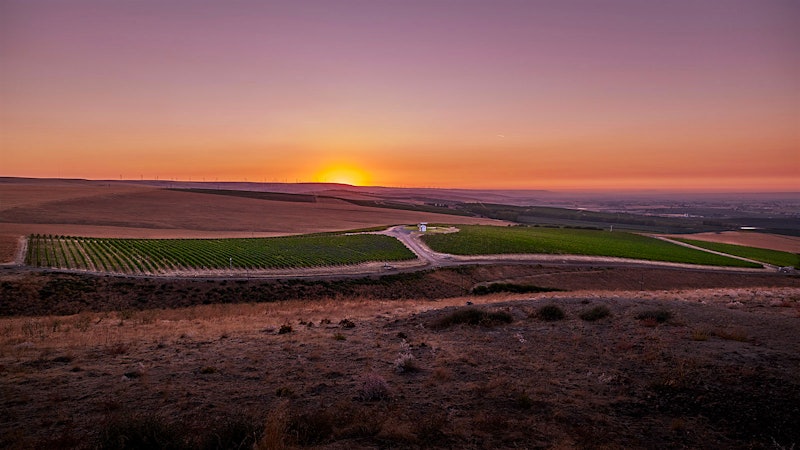 8 Amazing West Coast Cabernet Sauvignons at $50 or Less