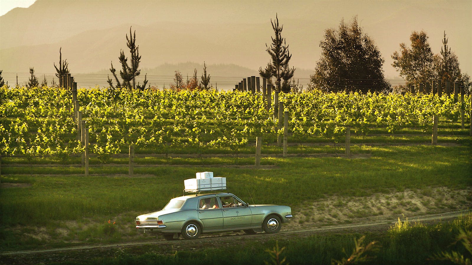 A car driving past a Dog Point Vineyard vineyard in New Zealand