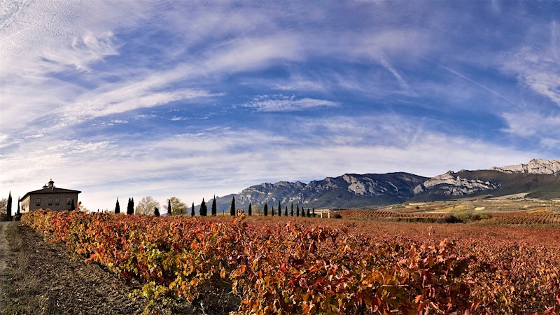 Explore Spain with 9 Amazing Riojas Up to 92 Points